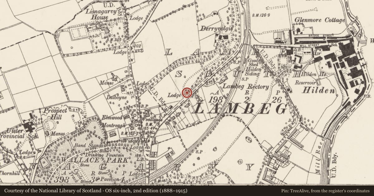 Ordnance Survey six-inch map, 2nd edition (1888–1915) covering the location of Lodge, Lisburn and Castlereagh, with a pin at the register's coordinates