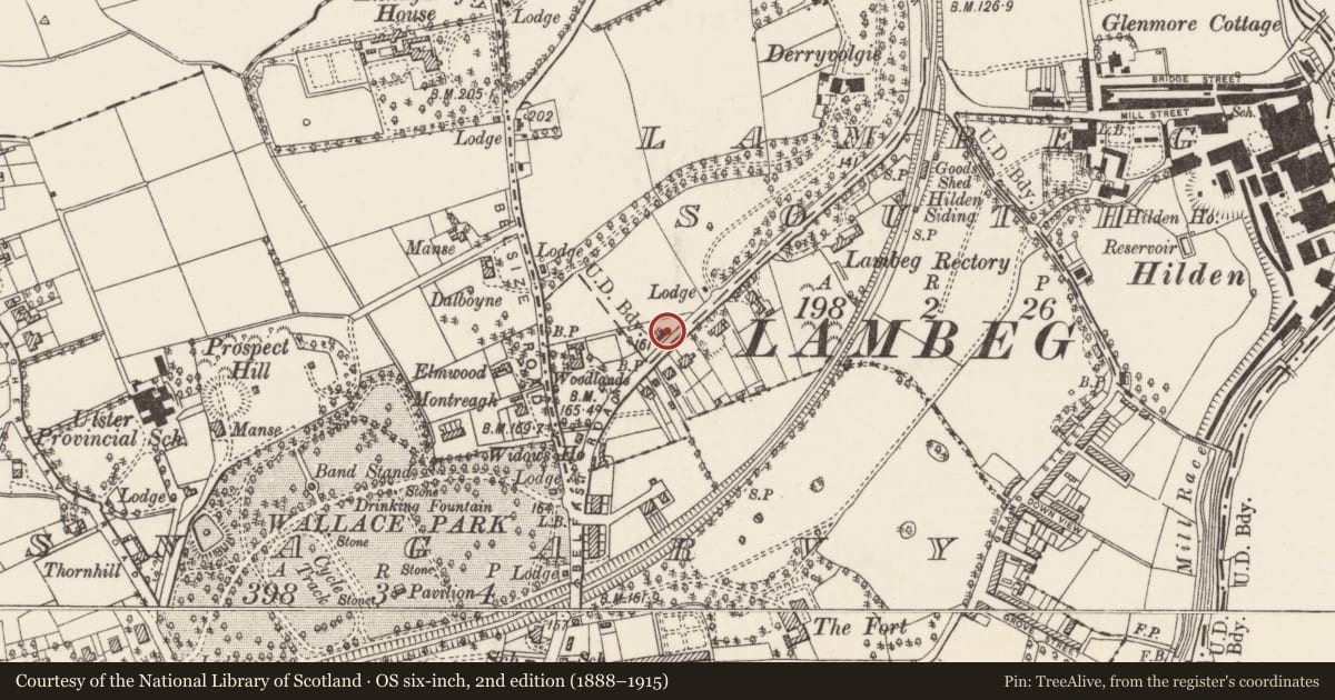 Ordnance Survey six-inch map, 2nd edition (1888–1915) covering the location of 11 Belfast Road, Lisburn and Castlereagh, with a pin at the register's coordinates
