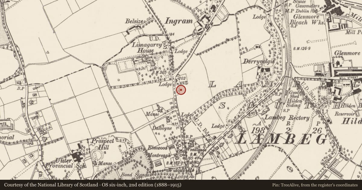 Ordnance Survey six-inch map, 2nd edition (1888–1915) covering the location of 18 Belsize Road, Lisburn and Castlereagh, with a pin at the register's coordinates