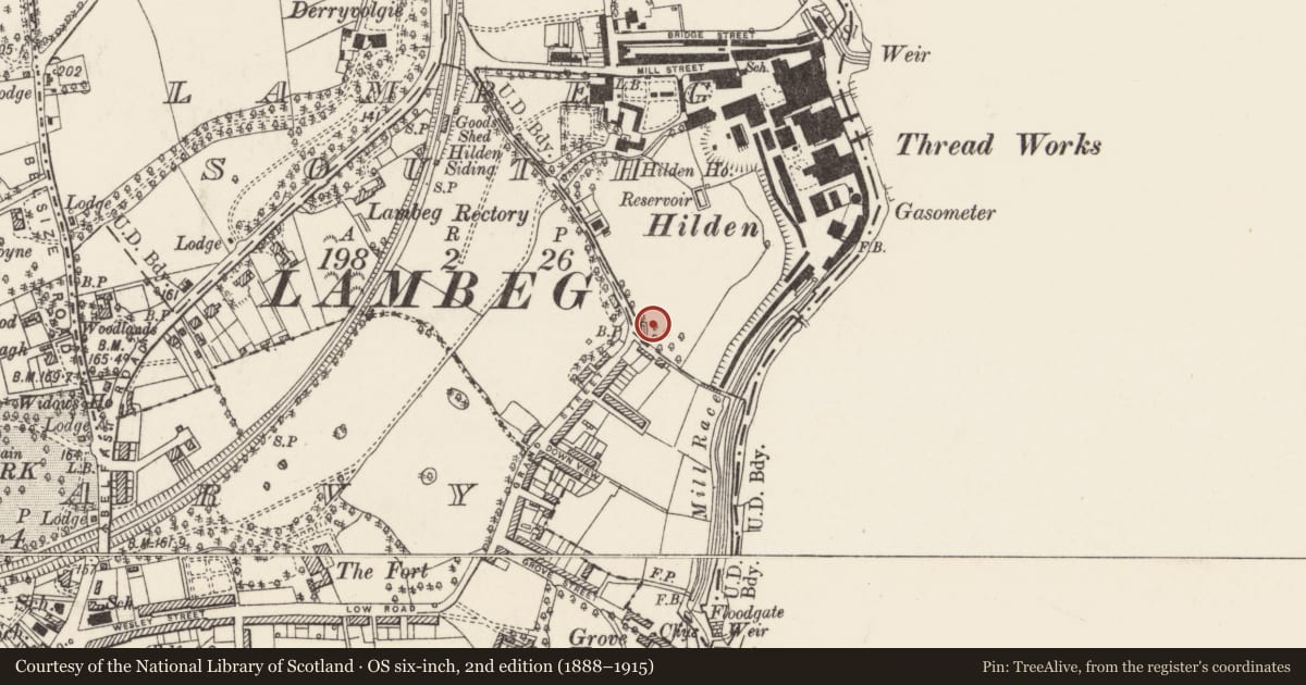 Ordnance Survey six-inch map, 2nd edition (1888–1915) covering the location of Glenmore Crescent, Lisburn and Castlereagh, with a pin at the register's coordinates