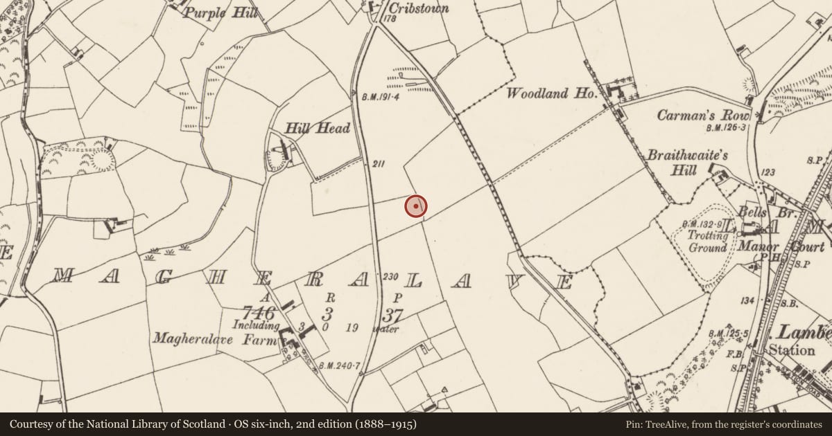 Ordnance Survey six-inch map, 2nd edition (1888–1915) covering the location of St. Columba’s Church, Lisburn and Castlereagh, with a pin at the register's coordinates