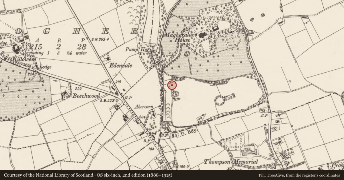 Ordnance Survey six-inch map, 2nd edition (1888–1915) covering the location of Terrace, Lisburn and Castlereagh, with a pin at the register's coordinates