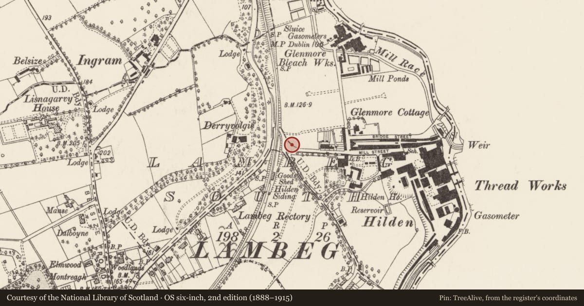 Ordnance Survey six-inch map, 2nd edition (1888–1915) covering the location of War Memorial, Lambeg South, Lisburn and Castlereagh, with a pin at the register's coordinates