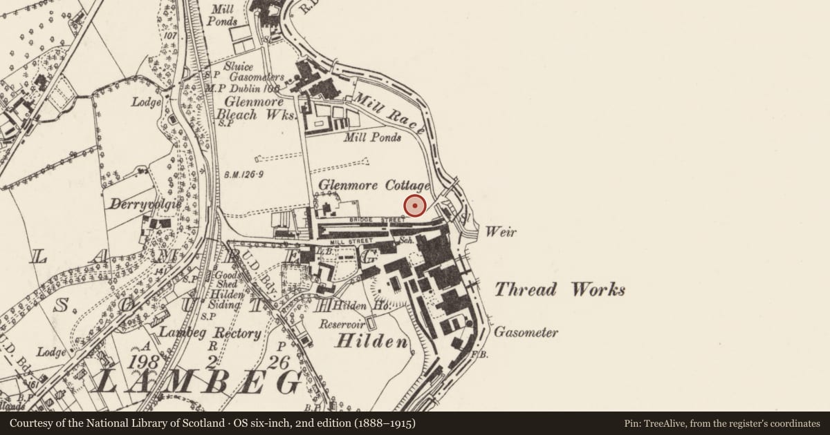 Ordnance Survey six-inch map, 2nd edition (1888–1915) covering the location of Hilden Primary School, Lambeg South, Lisburn and Castlereagh, with a pin at the register's coordinates