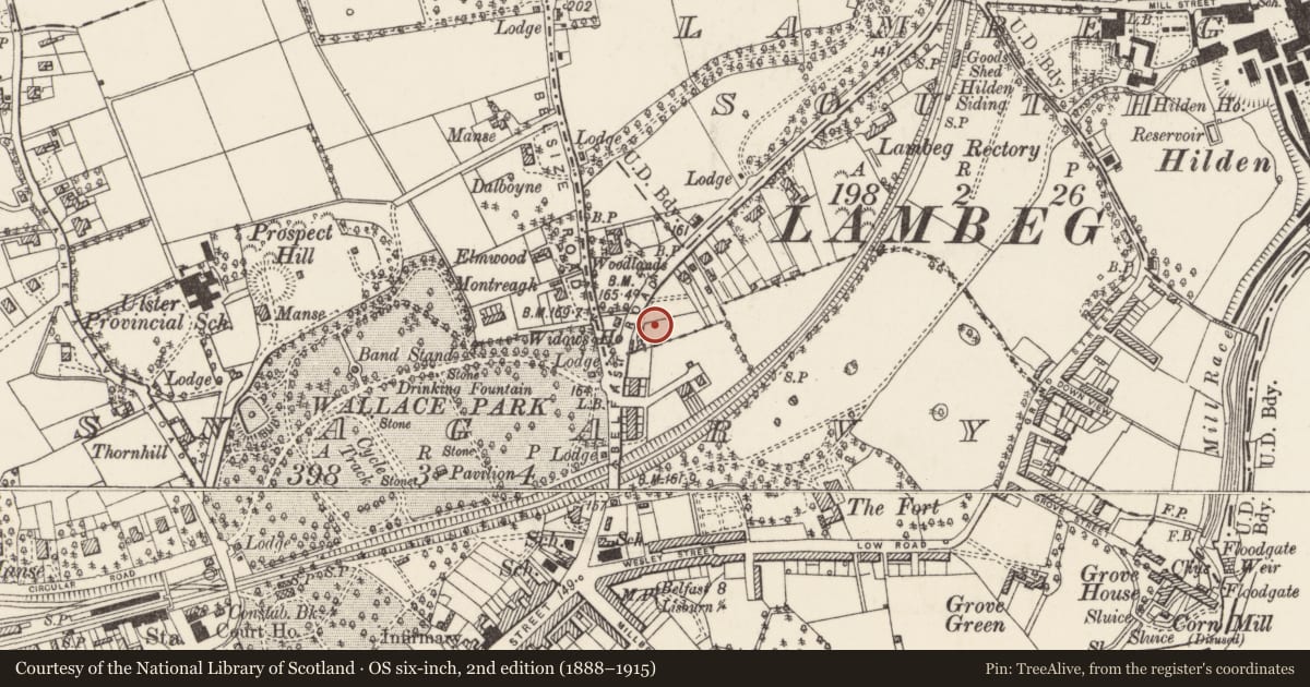 Ordnance Survey six-inch map, 2nd edition (1888–1915) covering the location of 6-8 Belfast Road, Lisburn and Castlereagh, with a pin at the register's coordinates