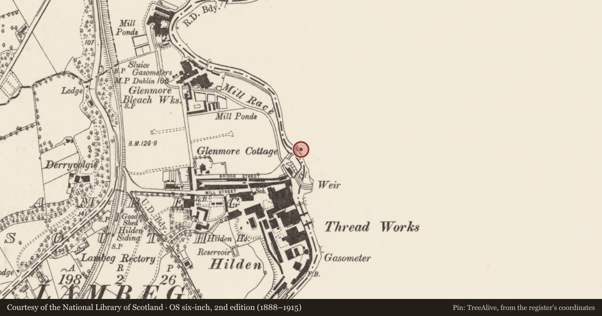 Ordnance Survey six-inch map, 2nd edition (1888–1915) covering the location of Barbour’s Bridge, Lisburn and Castlereagh, with a pin at the register's coordinates