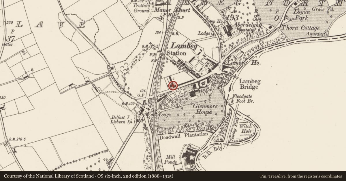 Ordnance Survey six-inch map, 2nd edition (1888–1915) covering the location of 7-17 Lambeg Road, Lambeg North, Lisburn and Castlereagh, with a pin at the register's coordinates