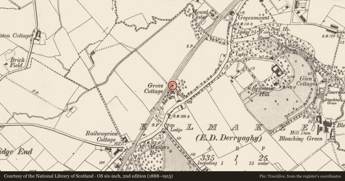 Ordnance Survey six-inch map, 2nd edition (1888–1915) covering the location of Kilmakee Railway Bridge, Lisburn and Castlereagh, with a pin at the register's coordinates
