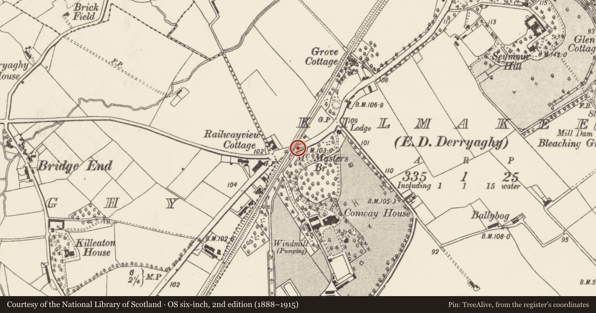 Ordnance Survey six-inch map, 2nd edition (1888–1915) covering the location of McMaster’s Bridge, Lisburn and Castlereagh, with a pin at the register's coordinates