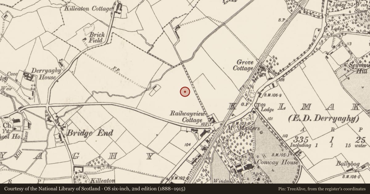 Ordnance Survey six-inch map, 2nd edition (1888–1915) covering the location of Former Grundig Factory, Lisburn and Castlereagh, with a pin at the register's coordinates