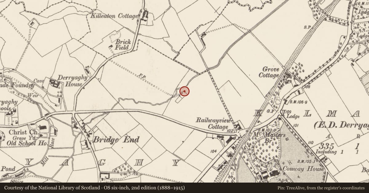Ordnance Survey six-inch map, 2nd edition (1888–1915) covering the location of Unit 11, Lisburn and Castlereagh, with a pin at the register's coordinates