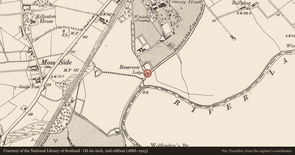 Ordnance Survey six-inch map, 2nd edition (1888–1915) covering the location of Willowtree Cottage, Kilmakee, Lisburn and Castlereagh, with a pin at the register's coordinates