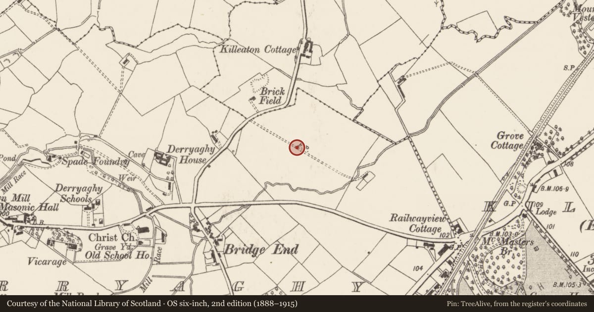 Ordnance Survey six-inch map, 2nd edition (1888–1915) covering the location of Vita CortX Ind., Derraghy, Lisburn and Castlereagh, with a pin at the register's coordinates
