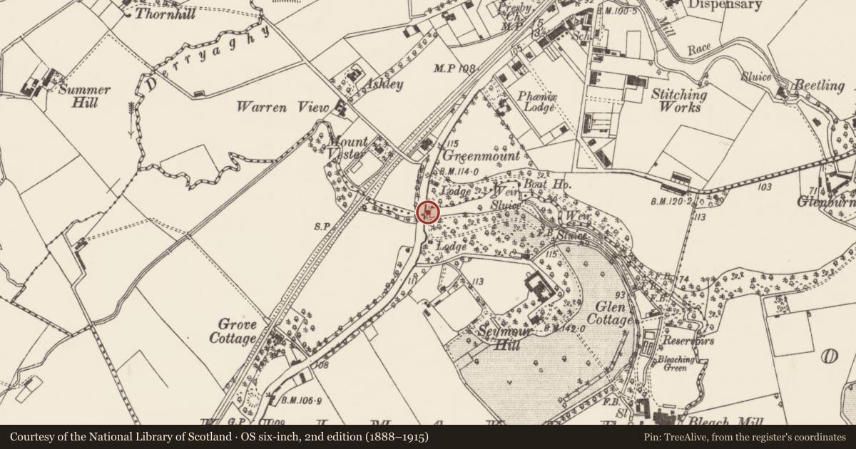 Ordnance Survey six-inch map, 2nd edition (1888–1915) covering the location of Packhorse Bridge, Lisburn and Castlereagh, with a pin at the register's coordinates