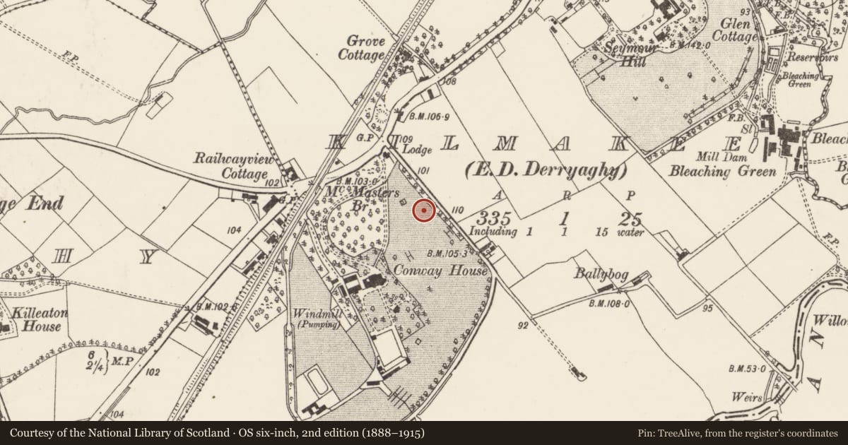 Ordnance Survey six-inch map, 2nd edition (1888–1915) covering the location of Parkdale House, Ferndale House, Riverdale House, Lisburn and Castlereagh, with a pin at the register's coordinates
