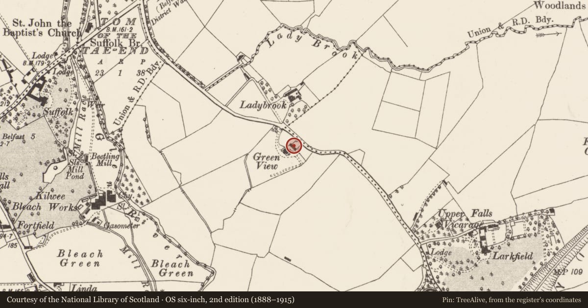 Ordnance Survey six-inch map, 2nd edition (1888–1915) covering the location of Arlington, Belfast, with a pin at the register's coordinates