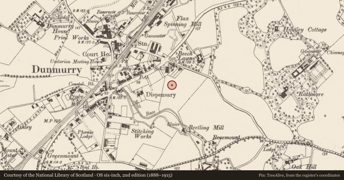 Ordnance Survey six-inch map, 2nd edition (1888–1915) covering the location of 26 Church Avenue, Belfast, with a pin at the register's coordinates