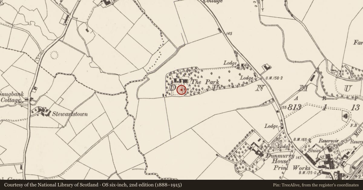 Ordnance Survey six-inch map, 2nd edition (1888–1915) covering the location of The Park, Belfast, with a pin at the register's coordinates