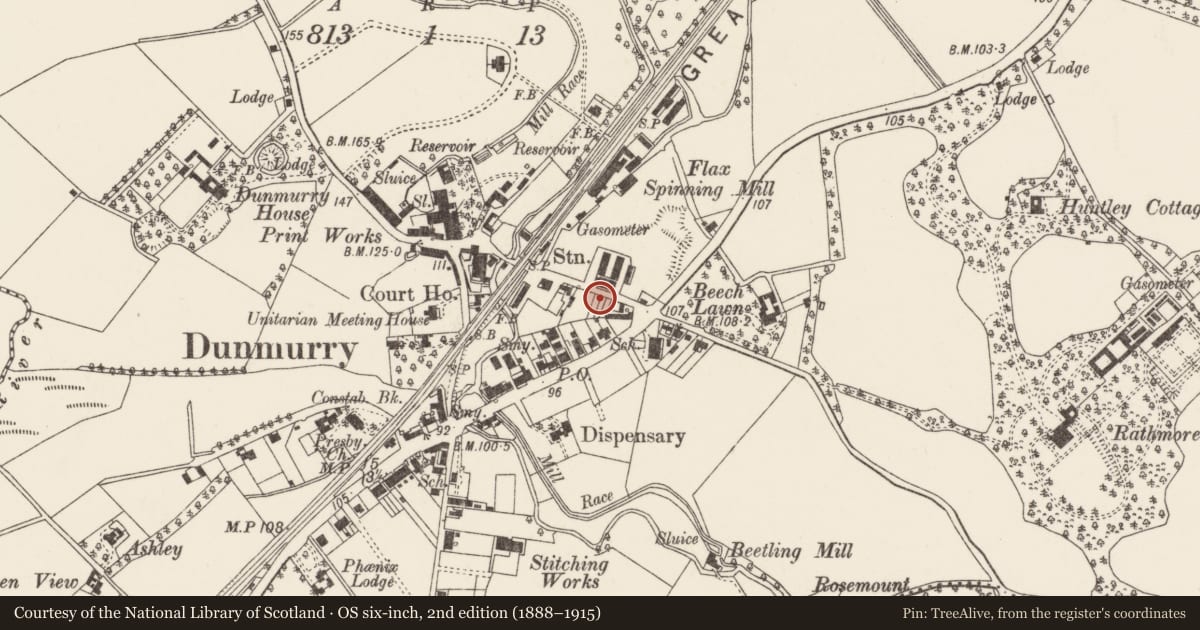 Ordnance Survey six-inch map, 2nd edition (1888–1915) covering the location of Gate Lodge, Belfast, with a pin at the register's coordinates