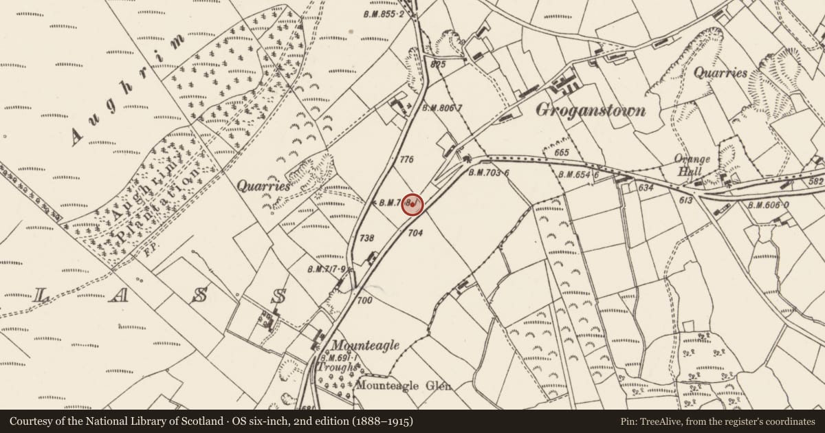 Ordnance Survey six-inch map, 2nd edition (1888–1915) covering the location of St. Andrew’s Church of Ireland, Lisburn and Castlereagh, with a pin at the register's coordinates