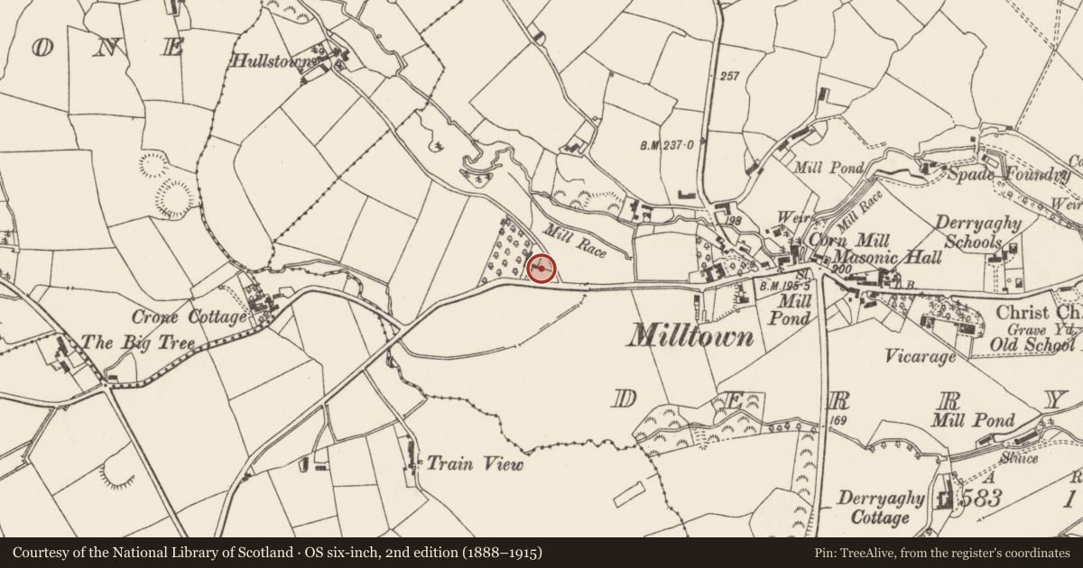 Ordnance Survey six-inch map, 2nd edition (1888–1915) covering the location of Beech Hill, Derraghy, Lisburn and Castlereagh, with a pin at the register's coordinates