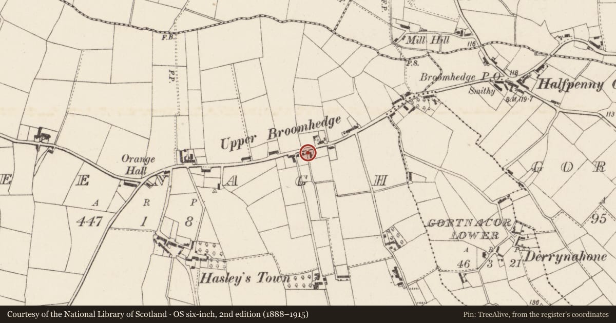 Ordnance Survey six-inch map, 2nd edition (1888–1915) covering the location of 31 Halfpenny Gate Road, Creenagh, Lisburn and Castlereagh, with a pin at the register's coordinates