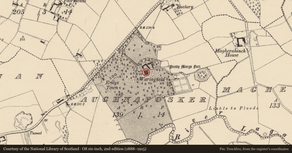 Ordnance Survey six-inch map, 2nd edition (1888–1915) covering the location of Waringfield, Lisburn and Castlereagh, with a pin at the register's coordinates