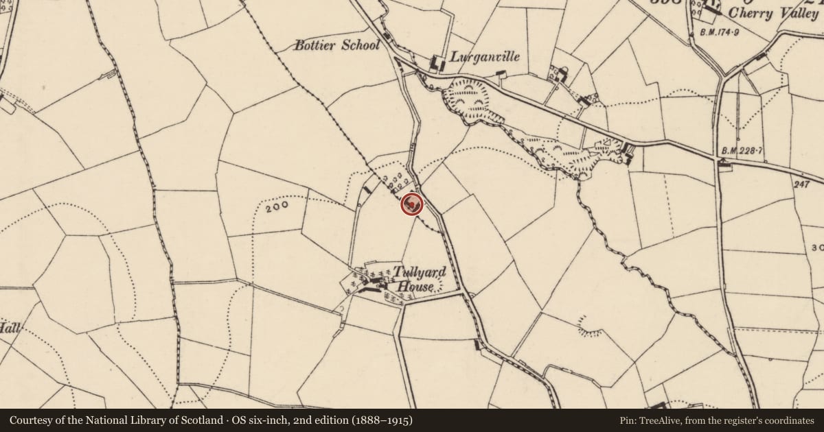 Ordnance Survey six-inch map, 2nd edition (1888–1915) covering the location of 19 Grove Hill Road, Lisburn and Castlereagh, with a pin at the register's coordinates