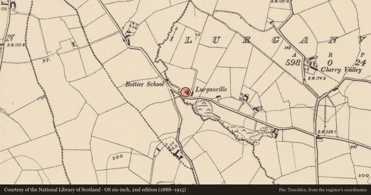 Ordnance Survey six-inch map, 2nd edition (1888–1915) covering the location of Lurganville House, Lisburn and Castlereagh, with a pin at the register's coordinates