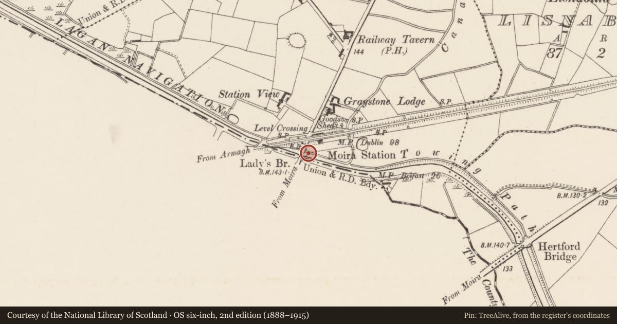 Ordnance Survey six-inch map, 2nd edition (1888–1915) covering the location of Lady’s bridge, Lisburn and Castlereagh, with a pin at the register's coordinates