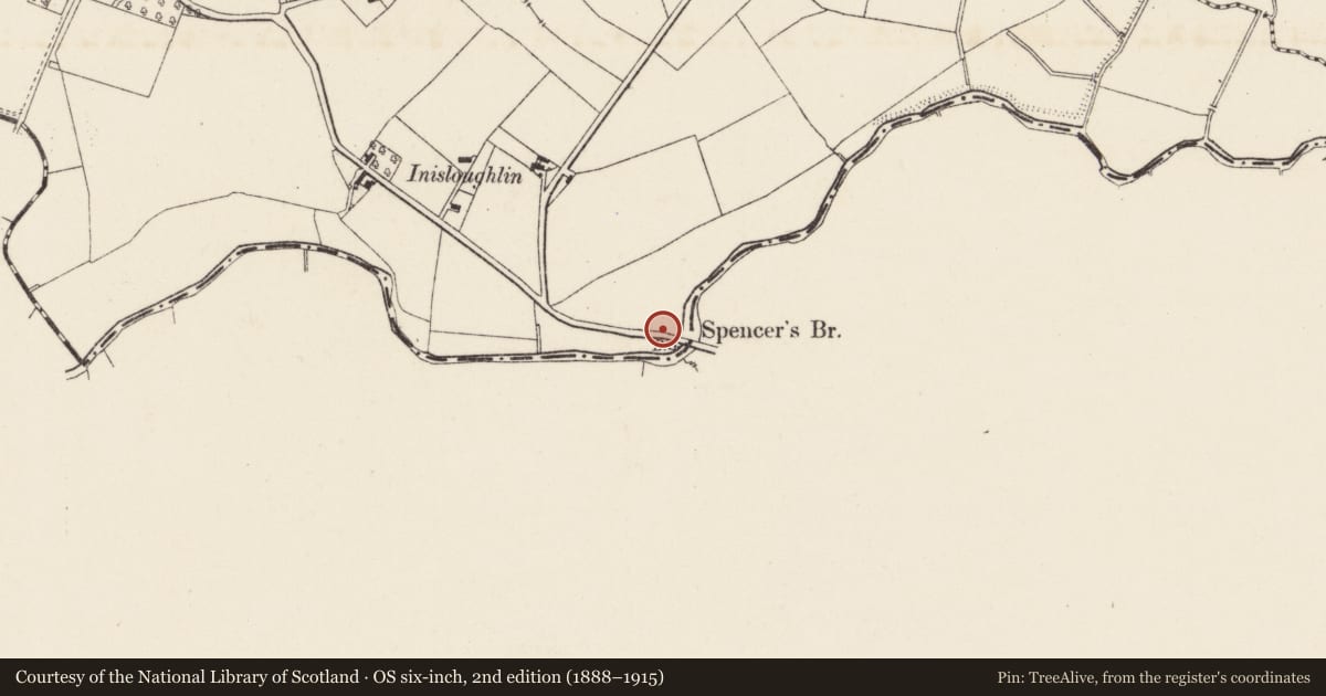 Ordnance Survey six-inch map, 2nd edition (1888–1915) covering the location of Spencer's Bridge, Ballyknock/Inisloughlin, Lisburn and Castlereagh, with a pin at the register's coordinates