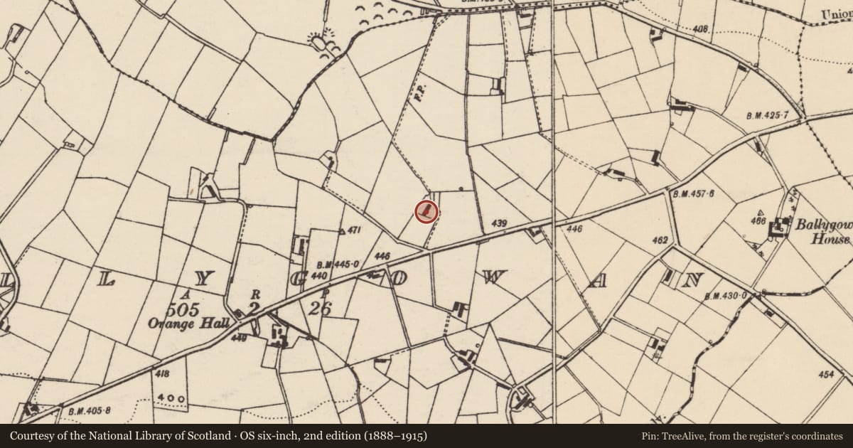 Ordnance Survey six-inch map, 2nd edition (1888–1915) covering the location of 160 & 162 Ballygowan Road, Lisburn and Castlereagh, with a pin at the register's coordinates