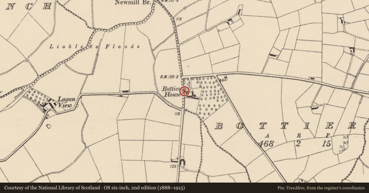 Ordnance Survey six-inch map, 2nd edition (1888–1915) covering the location of Bottier House, Lisburn and Castlereagh, with a pin at the register's coordinates