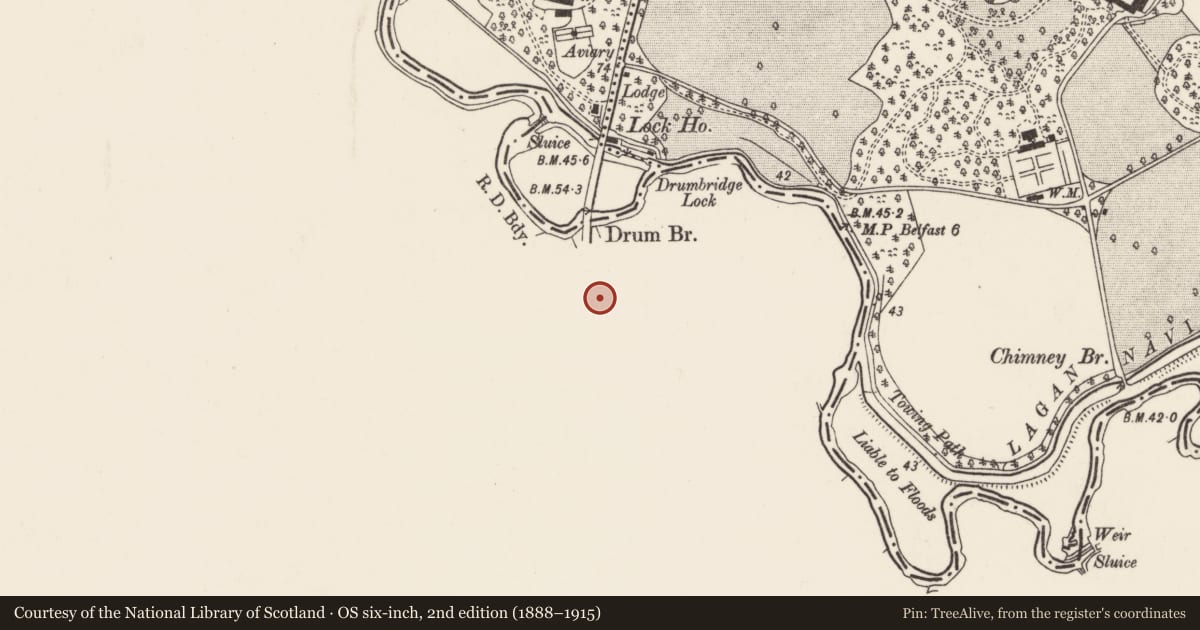 Ordnance Survey six-inch map, 2nd edition (1888–1915) covering the location of St. Patricks Church of Ireland, Drumbeg, Lisburn and Castlereagh, with a pin at the register's coordinates