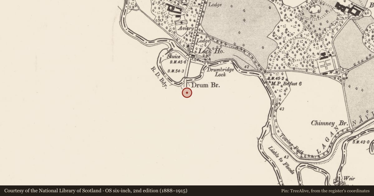 Ordnance Survey six-inch map, 2nd edition (1888–1915) covering the location of Lych Gate, Drumbeg, Lisburn and Castlereagh, with a pin at the register's coordinates