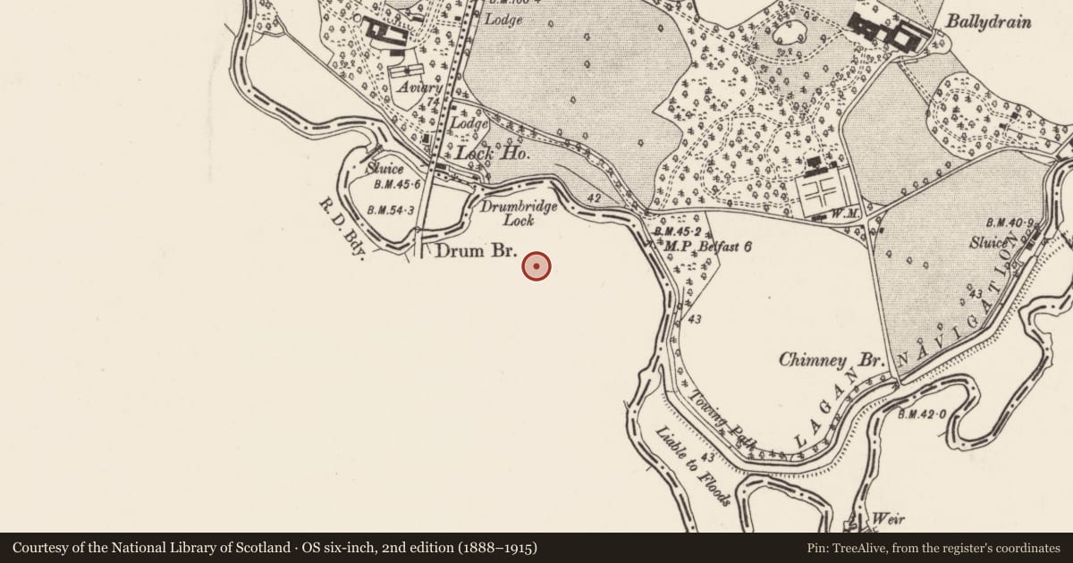 Ordnance Survey six-inch map, 2nd edition (1888–1915) covering the location of Drum House, Drumbeg, Lisburn and Castlereagh, with a pin at the register's coordinates