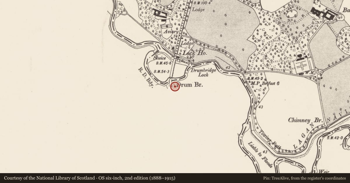 Ordnance Survey six-inch map, 2nd edition (1888–1915) covering the location of Drum Bridge Lodge, Lisburn and Castlereagh, with a pin at the register's coordinates