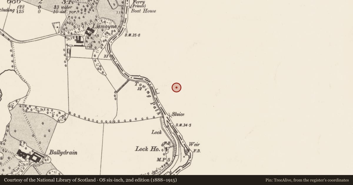 Ordnance Survey six-inch map, 2nd edition (1888–1915) covering the location of 3-14 Edenderry Village, Belfast, with a pin at the register's coordinates