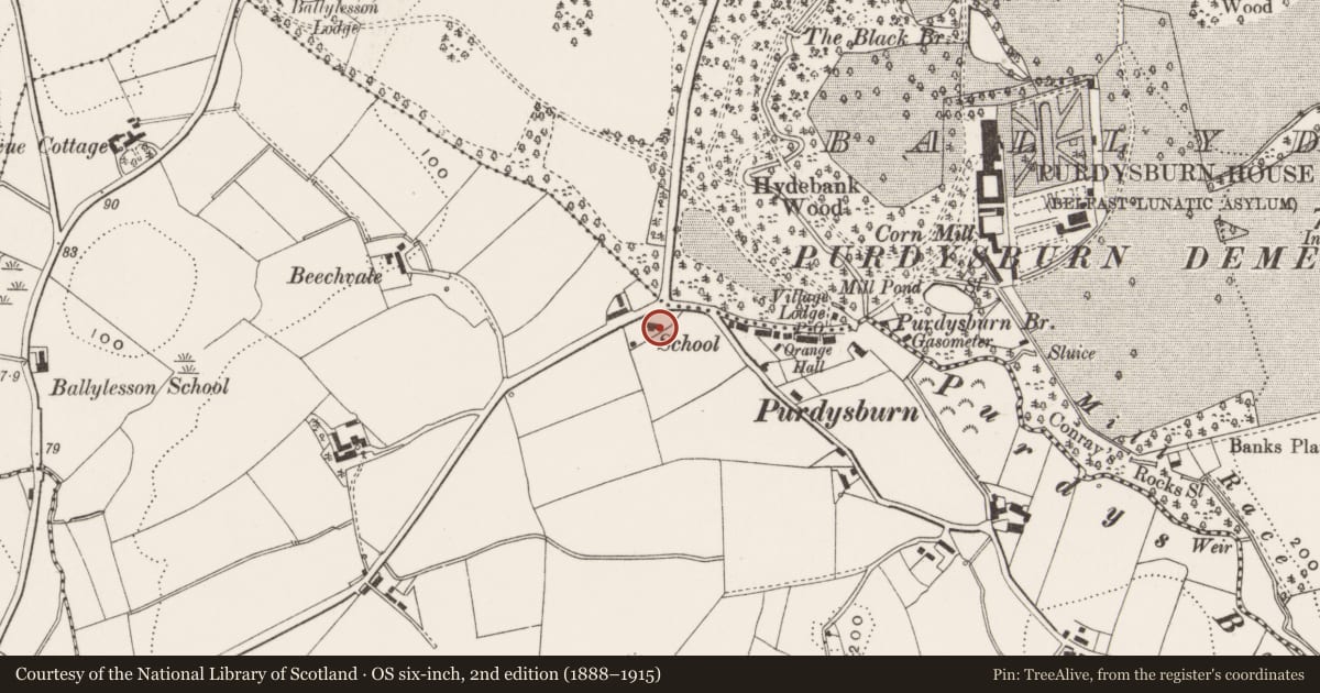Ordnance Survey six-inch map, 2nd edition (1888–1915) covering the location of The School House, Ballycowan, Lisburn and Castlereagh, with a pin at the register's coordinates
