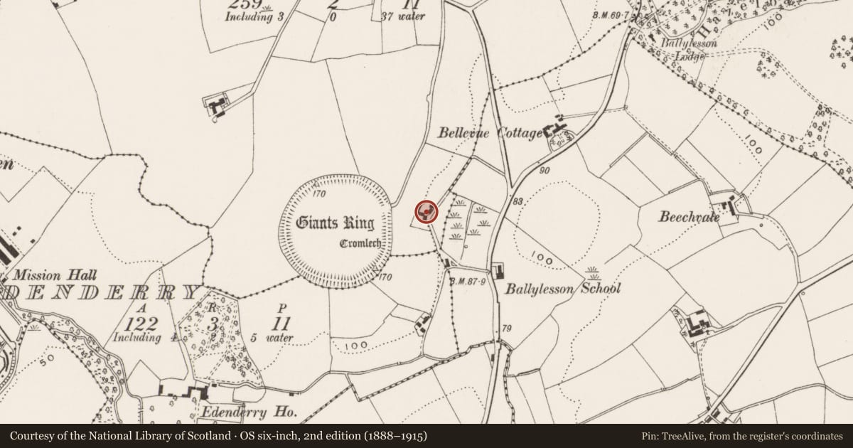 Ordnance Survey six-inch map, 2nd edition (1888–1915) covering the location of Giants’ Ring House, Belfast, with a pin at the register's coordinates