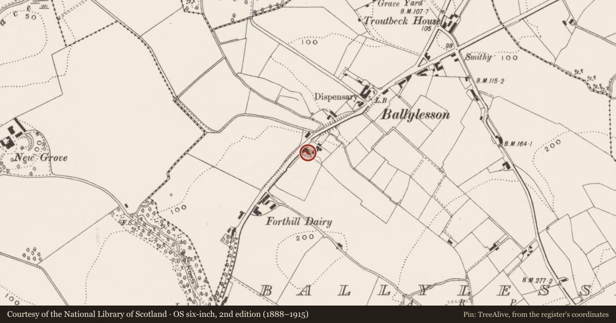 Ordnance Survey six-inch map, 2nd edition (1888–1915) covering the location of Ballylesson House, Lisburn and Castlereagh, with a pin at the register's coordinates