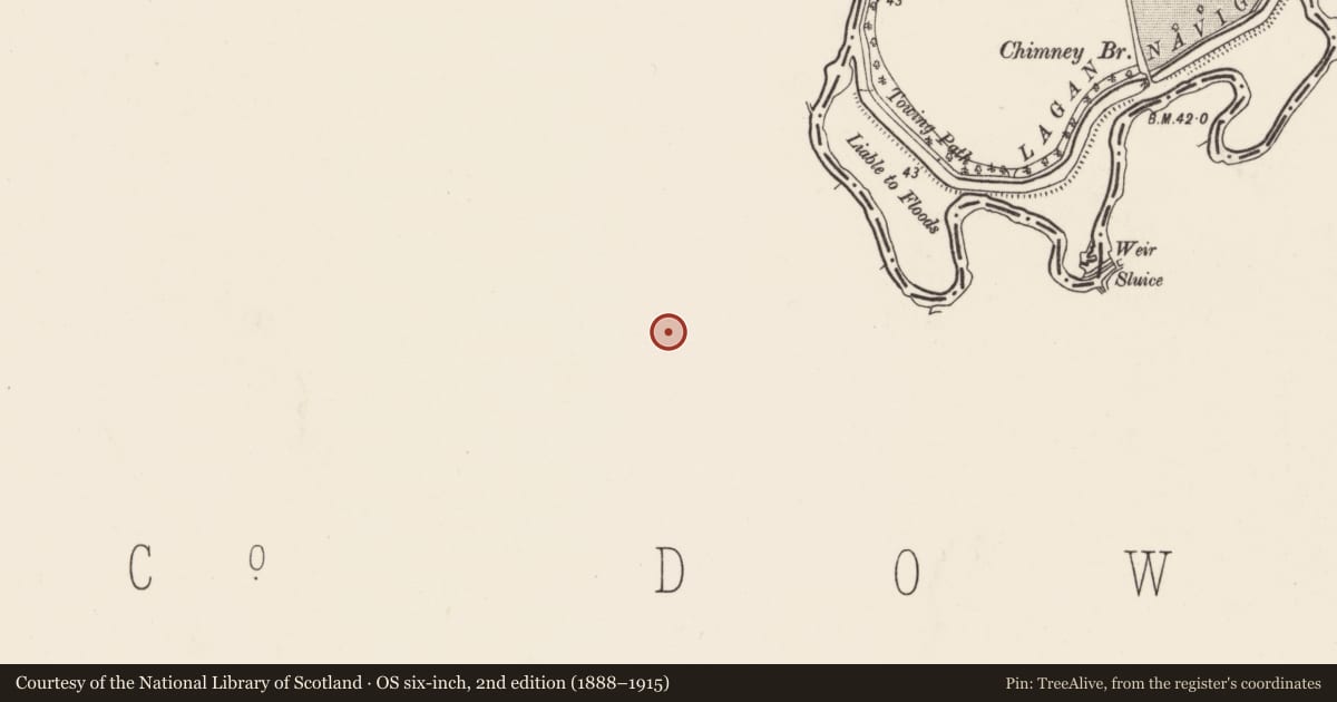 Ordnance Survey six-inch map, 2nd edition (1888–1915) covering the location of 50 Drumbeg Road, Ballygowan, Lisburn and Castlereagh, with a pin at the register's coordinates