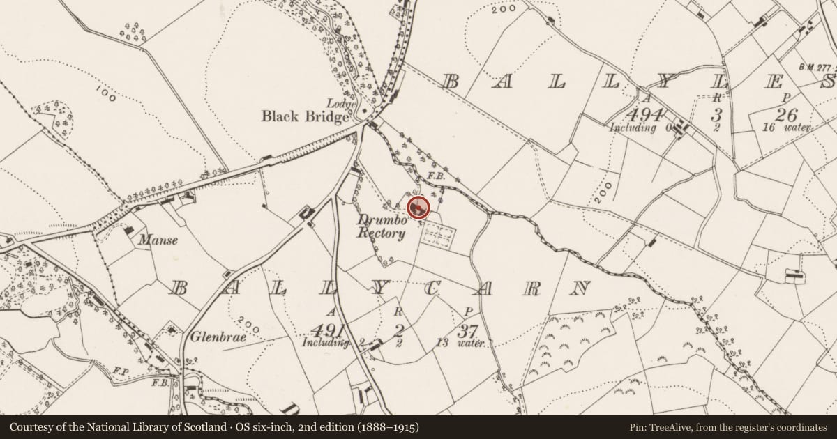 Ordnance Survey six-inch map, 2nd edition (1888–1915) covering the location of Drumbo Rectory, Lisburn and Castlereagh, with a pin at the register's coordinates