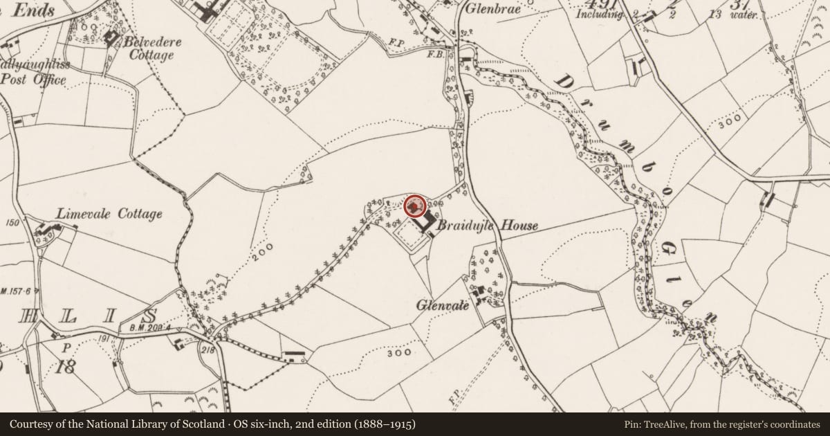 Ordnance Survey six-inch map, 2nd edition (1888–1915) covering the location of Braidujle House, Lisburn and Castlereagh, with a pin at the register's coordinates