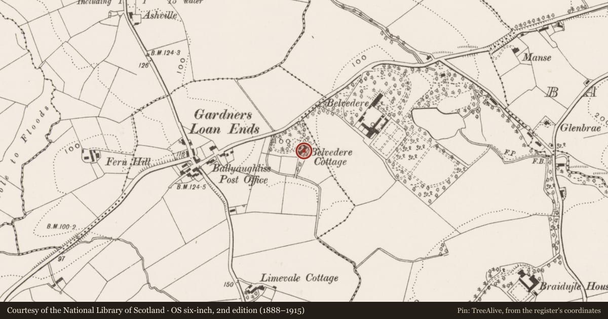 Ordnance Survey six-inch map, 2nd edition (1888–1915) covering the location of Ballyaghlis Lodge, Lisburn and Castlereagh, with a pin at the register's coordinates