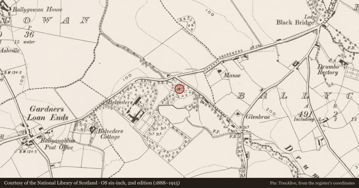 Ordnance Survey six-inch map, 2nd edition (1888–1915) covering the location of Belvedere Mills, Lisburn and Castlereagh, with a pin at the register's coordinates