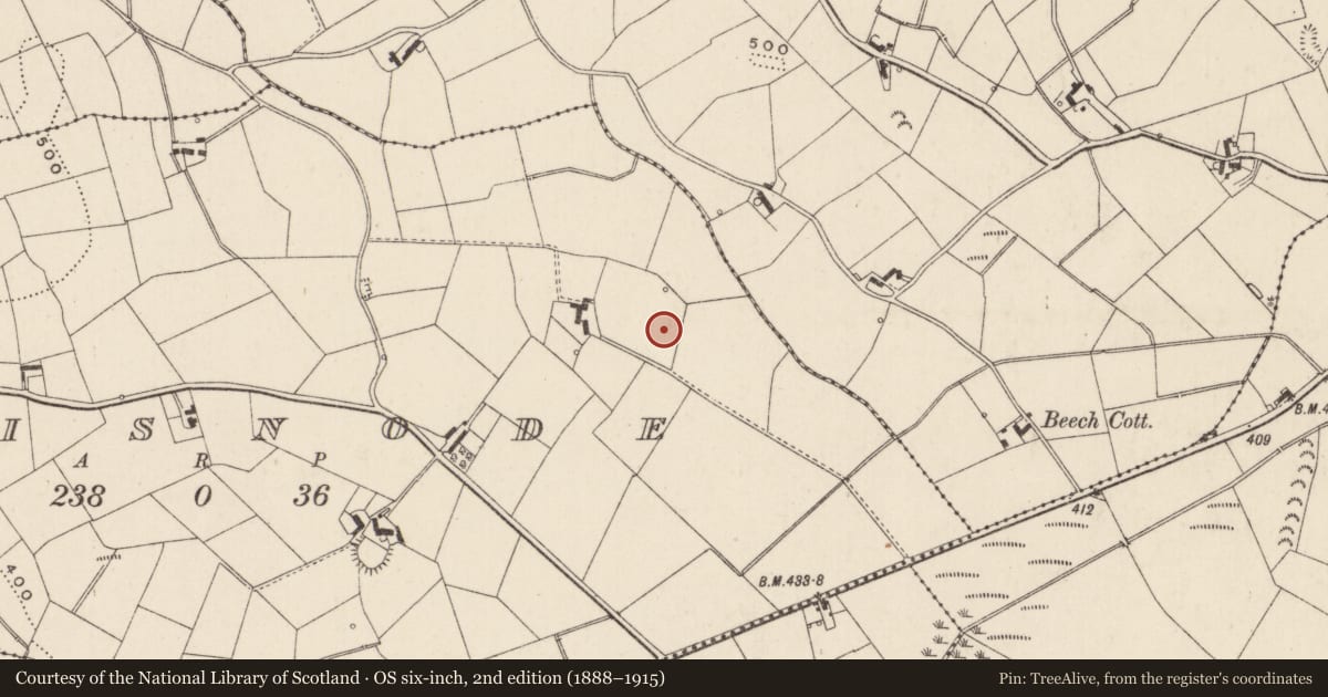 Ordnance Survey six-inch map, 2nd edition (1888–1915) covering the location of 297 Comber Road, Lisburn and Castlereagh, with a pin at the register's coordinates