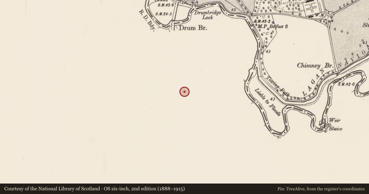 Ordnance Survey six-inch map, 2nd edition (1888–1915) covering the location of Laurel Hill, 66 Drumbeg Road, Ballygowan, Dunmurry, Belfast, Co Down BT17 9LE, Lisburn and Castlereagh, with a pin at the register's coordinates