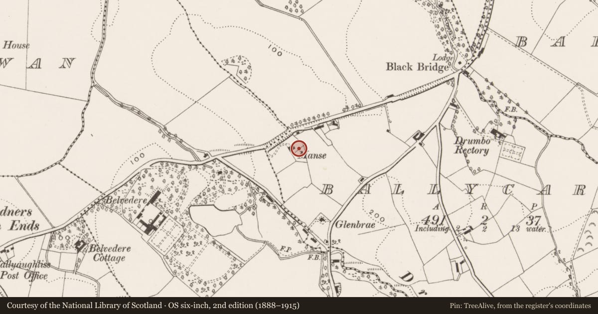 Ordnance Survey six-inch map, 2nd edition (1888–1915) covering the location of 216 Ballylesson Road, Ballycarn, Lisburn and Castlereagh, with a pin at the register's coordinates