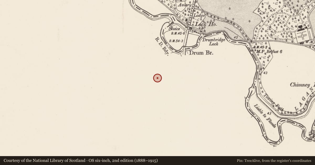 Ordnance Survey six-inch map, 2nd edition (1888–1915) covering the location of Hall, Drumbeg, Lisburn and Castlereagh, with a pin at the register's coordinates